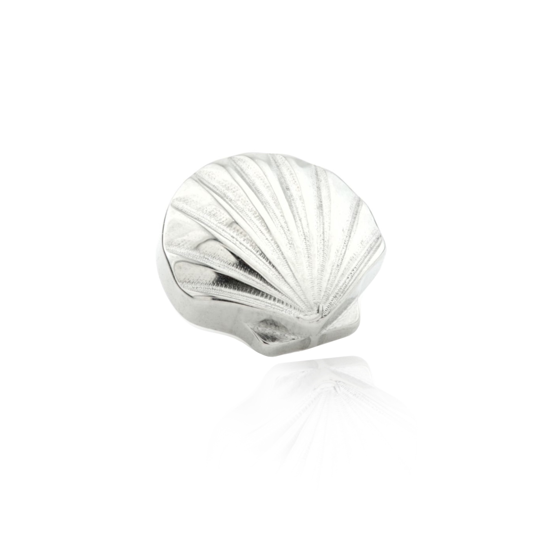 Seashell Piercing - UnusualPiercingShop.com