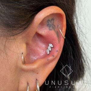 Jasmine | Piercing Titanium - Image 3