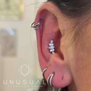 Leaves Cluster | Piercing Titanium - Image 2